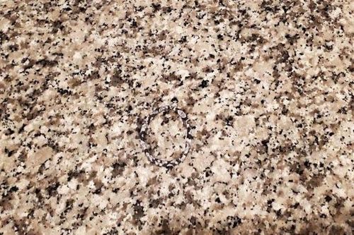 Thách thức thị giác 3 giây: Đố bạn tìm ra chiếc băng đô hoa trên tấm thảm này