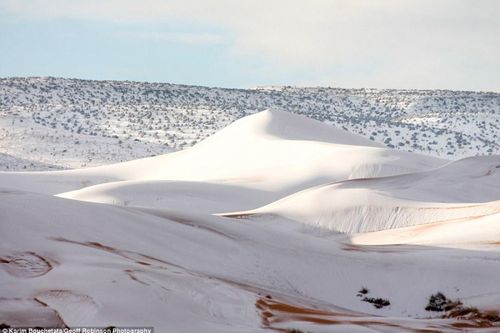 Chuyện lạ: Tuyết rơi phủ trắng một vùng sa mạc Sahara