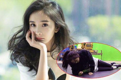 Ám Sát Tiểu Thuyết Gia 'thả xích' trailer cuối: Dương Mịch 'Điên cuồng nhào lộn' trên không trung?