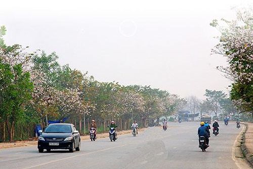 Lễ hội Hoa Ban khởi đầu năm du lịch