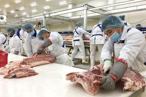 Rót 1,4 tỷ USD, Tập đoàn AVG của Nga đầu tư khu chế biến thịt lợn tại Thanh Hóa
