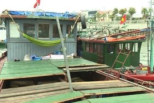 Băng nhóm cưỡng đoạt hàng trăm tỷ đồng trên Vịnh Hạ Long