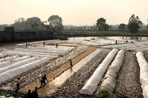 Sẵn sàng cho vụ xuân thắng lợi