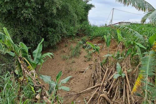 Quảng Ngãi: Bờ sông Trà Khúc sạt lở nguy hiểm