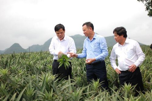 8 giải pháp đẩy mạnh cuộc cách mạng nông nghiệp giai đoạn 2021 - 2025