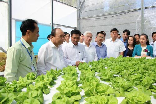Bình Phước phấn đấu trở thành địa phương đi đầu về phát triển nông nghiệp công nghệ cao