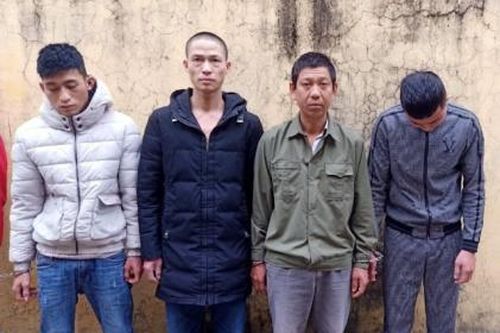 Nhóm 'cẩu tặc' chuyên nghiệp sa lưới