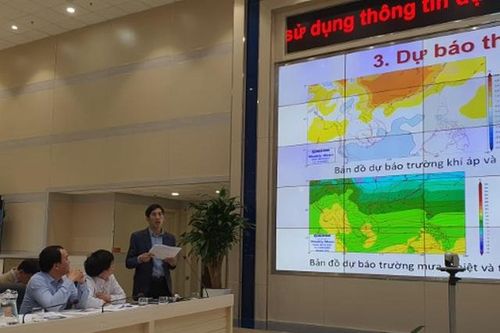 Tết này miền Bắc sẽ ấm