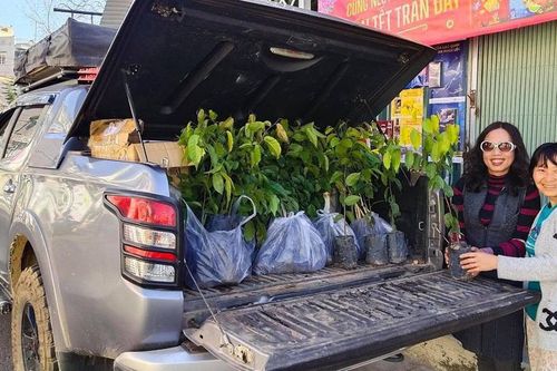 Tết ấm tình người