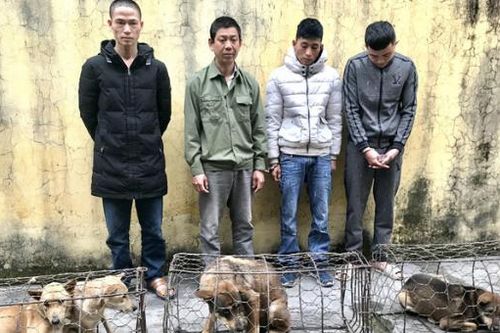 Bắt nhóm cẩu tặc đi trộm chó, tông thẳng vào công an khi bị kiểm tra