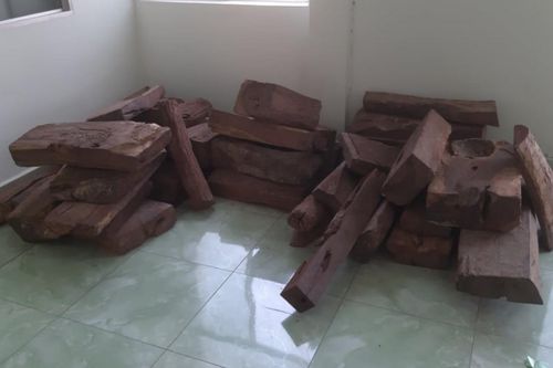 Bán gỗ xong quay lại trộm số gỗ đã bán, đạo chích bị Công an thị xã Gò Công bắt giữ