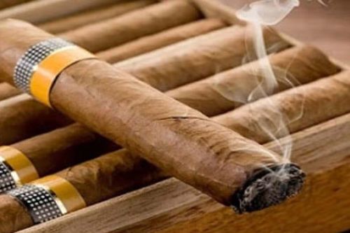 Hút xì gà thay thuốc lá: có nguy cơ ung thư!