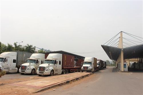 Đề xuất tạm dừng thu phí hạ tầng tại các cửa khẩu trong dịp tết Nguyên đán Tân Sửu