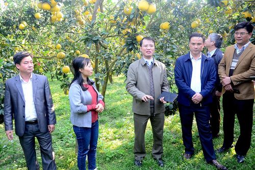 Bước tiến từ chuỗi sản xuất