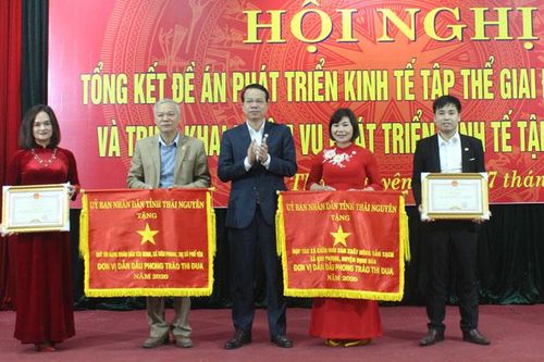 Khu vực kinh tế tập thể của tỉnh có nhiều khởi sắc
