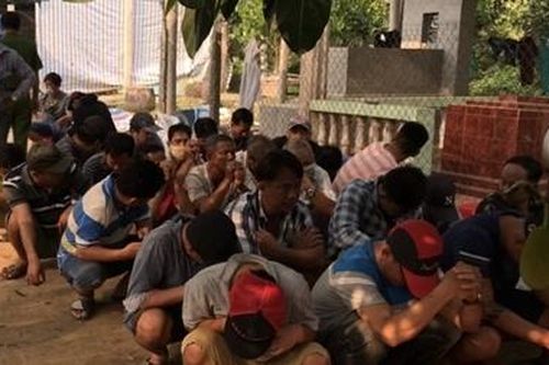 Triệt phá trường gà, tạm giữ 25 người và khoảng 500 triệu đồng