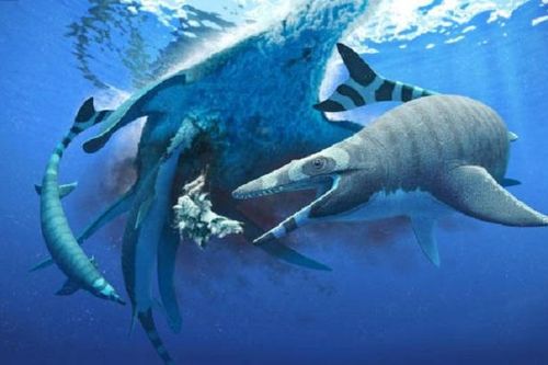 Kinh dị loài thủy quái 66 triệu tuổi có hàm răng sắc như lưỡi cưa