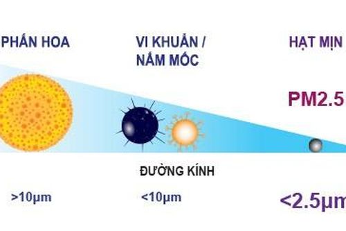 Vật chất dạng hạt mịn có liên quan đến gia tăng mắc bệnh thận mãn tính
