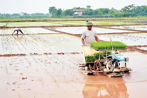 Chủ động ứng phó với gió mạnh, sóng lớn trên biển