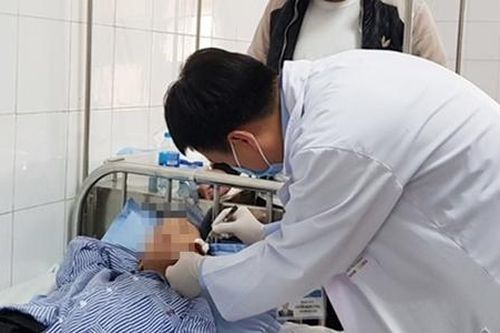 Bé trai 8 tuổi bị chó Becgie cắn thương tích nặng ở mặt