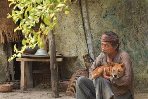 Phim Việt thất bại: Vì chưa chạm tới trái tim khán giả