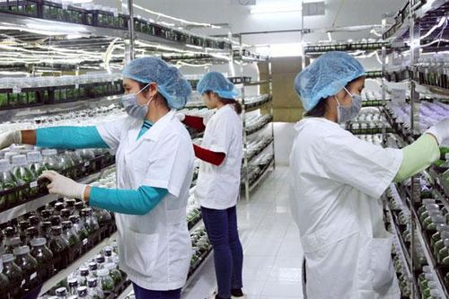 Hà Nội thành lập Hội đồng sáng kiến thành phố