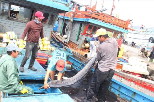 Chuyến biển tất niên