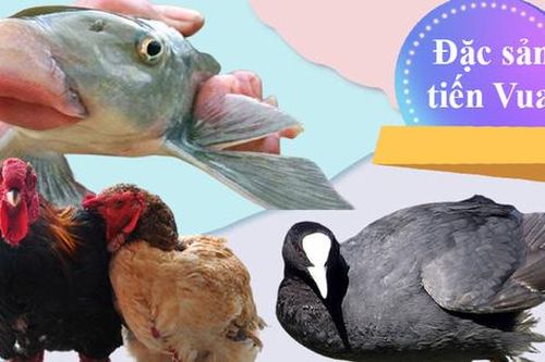 Năm loại sơn hào hải vị chỉ vua, quan thời xưa mới được dùng, thời nay bán với giá bao nhiêu tiền