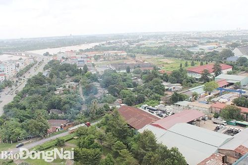 Đưa Khu công nghiệp Biên Hòa 1 ra khỏi Quy hoạch phát triển các khu công nghiệp Việt Nam