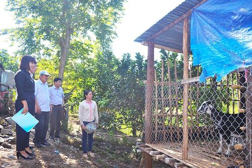 Hiệu quả từ các chính sách dân tộc