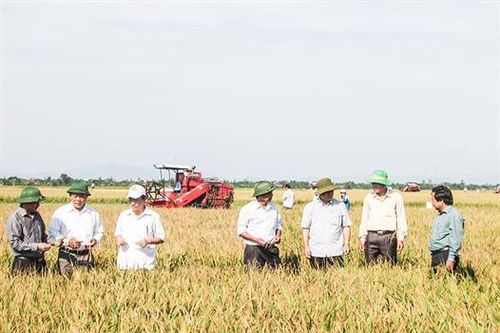 Chú trọng xây dựng thương hiệu nông sản Quảng Trị