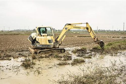 Vượt khó sản xuất vụ đông xuân