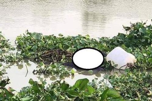 Phát hiện thi thể nữ giới buộc vào can nhựa trôi trên sông