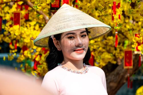 Bạn trẻ xúng xính diện áo dài, check-in đường mai giả ở TP.HCM