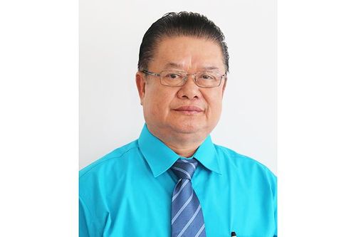 Kiều bào hướng về Đại hội Đảng