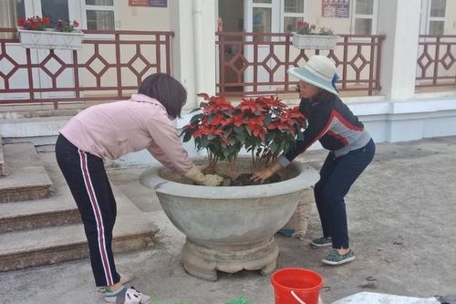 Quảng Ninh: Giáo viên huyện đảo chủ động chống dịch Covid-19