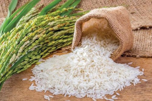Xuất khẩu ngày 26-29/1: 'Phép màu' đầu tiên từ UKVFTA chạm đến gạo Việt; ngăn chặn gian lận thương mại trong nhập khẩu cá tầm