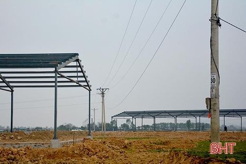 Dự án trại nuôi bò ở thị xã Hồng Lĩnh vi phạm hành lang lưới điện 35KV