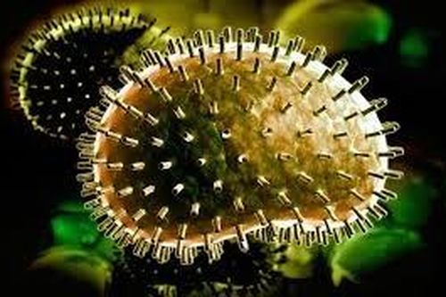 Gọi virus khổng lồ 30.000 tuổi dậy 'đón mặt trời'
