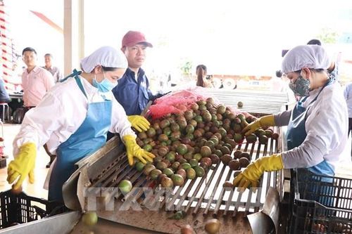 Lợi nhuận của Nafoods Group tăng 32%