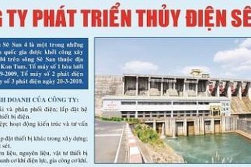Công ty phát triển Thủy điện Sê San chúc mừng năm mới 2021