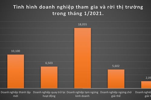 Hơn 10 ngàn doanh nghiệp thành lập mới trong tháng 1