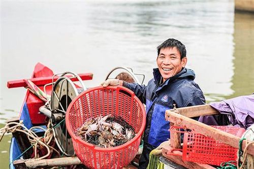 Phóng sự ảnh: Hồi sinh sau mưa lũ