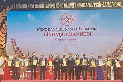 Được tôn vinh nhờ nuôi lợn giỏi