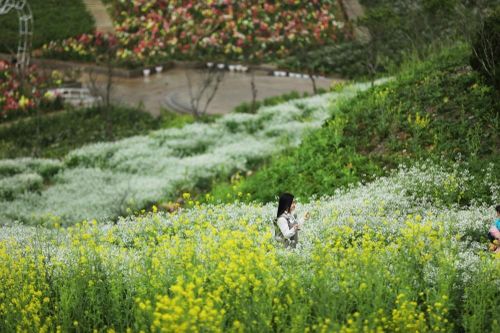 Bốn mùa vi diệu trên 'Nóc nhà Đông Dương'