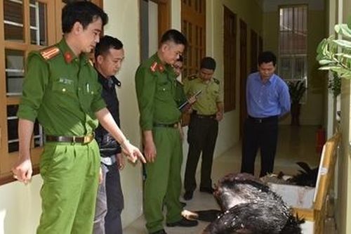 Đấu tranh mạnh với tội phạm hình sự
