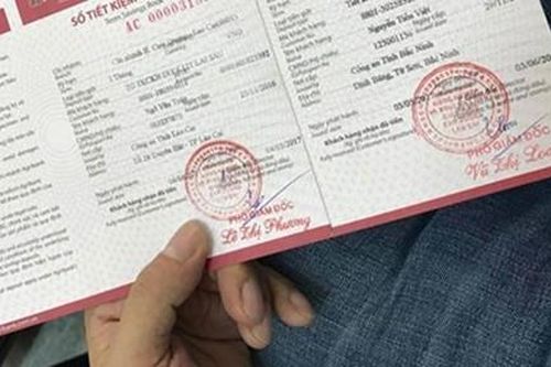 Nữ nhân viên hợp tác xã chiếm đoạt hơn 100 tỉ đồng của sếp đi đầu tư tiền ảo