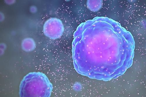 Hội chứng bão Cytokine: Phản ứng miễn dịch phóng đại và nguy hiểm