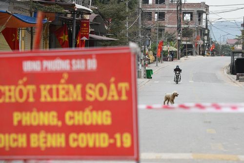 Các ổ dịch ở Chí Linh đã được khoanh vùng