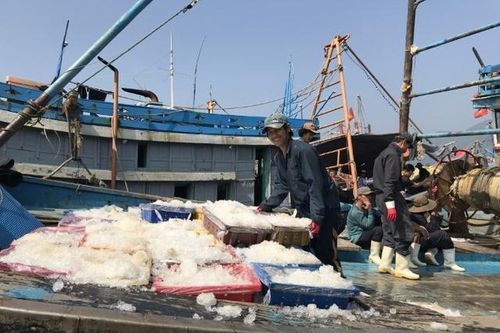Những 'cột mốc sống' chủ quyền trên biển